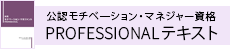 PROFESSIONAL テキスト